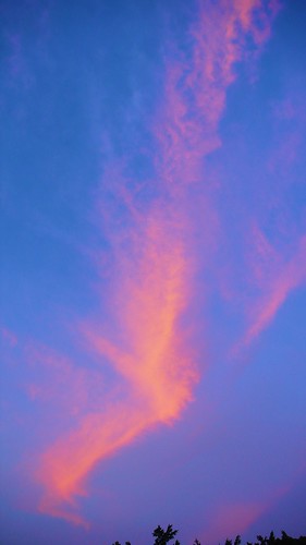 china pink blue sunset sky cloud color colour bird water geotagged reservoir guangdong 中国 shape zhuhai cloudscapes 广东 珠海 吉大 ©allrightsreserved jida geo:lat=22257564 geo:lon=113561811