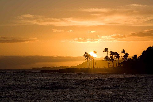 sunset hawaii palmtrees kauai poipu beachhouserestaurant abigfave
