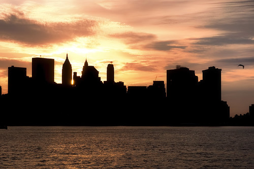 nyc newyorkcity ny newyork bird skyline sunrise river geotagged dawn newjersey jerseycity cityscape seagull nj financialdistrict batterypark hudsonriver mudpig stevekelley