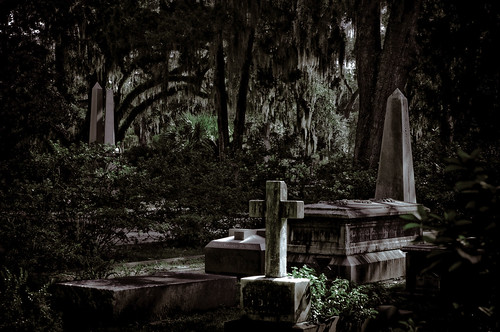 cemetery grave ga georgia photo flora nikon tombstone savannah lightroom d300 brianmarchman