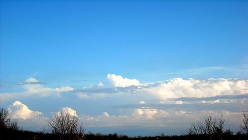 evan sky landscape jackson owensboro