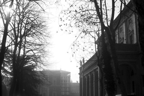 winter italy mist fog backlight landscapes blackwhite italia streetphotography autunno bianconero controluce urbanlandscapes città emiliaromagna reggioemilia italiantowns atomicaward sergiovaiani