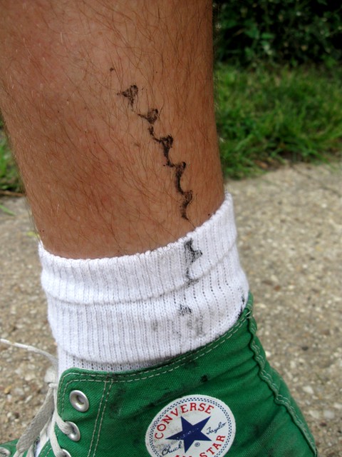Chainring tattoo. | Flickr - Photo Sharing!
