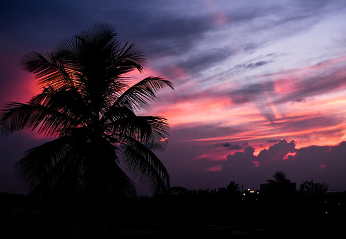 sunset sky cloud clouds landscape atardecer nikon paisaje cielo nubes coolpix coconuttree palmera nube p80