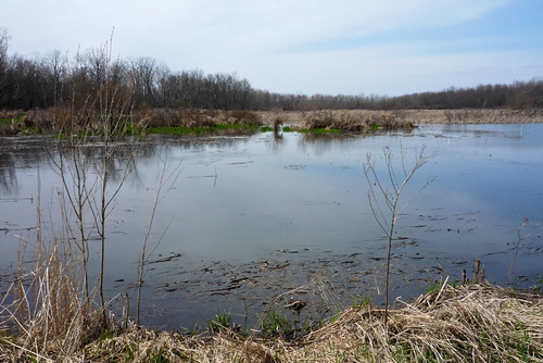 ohio landscape spring personal places wetlands killbuck