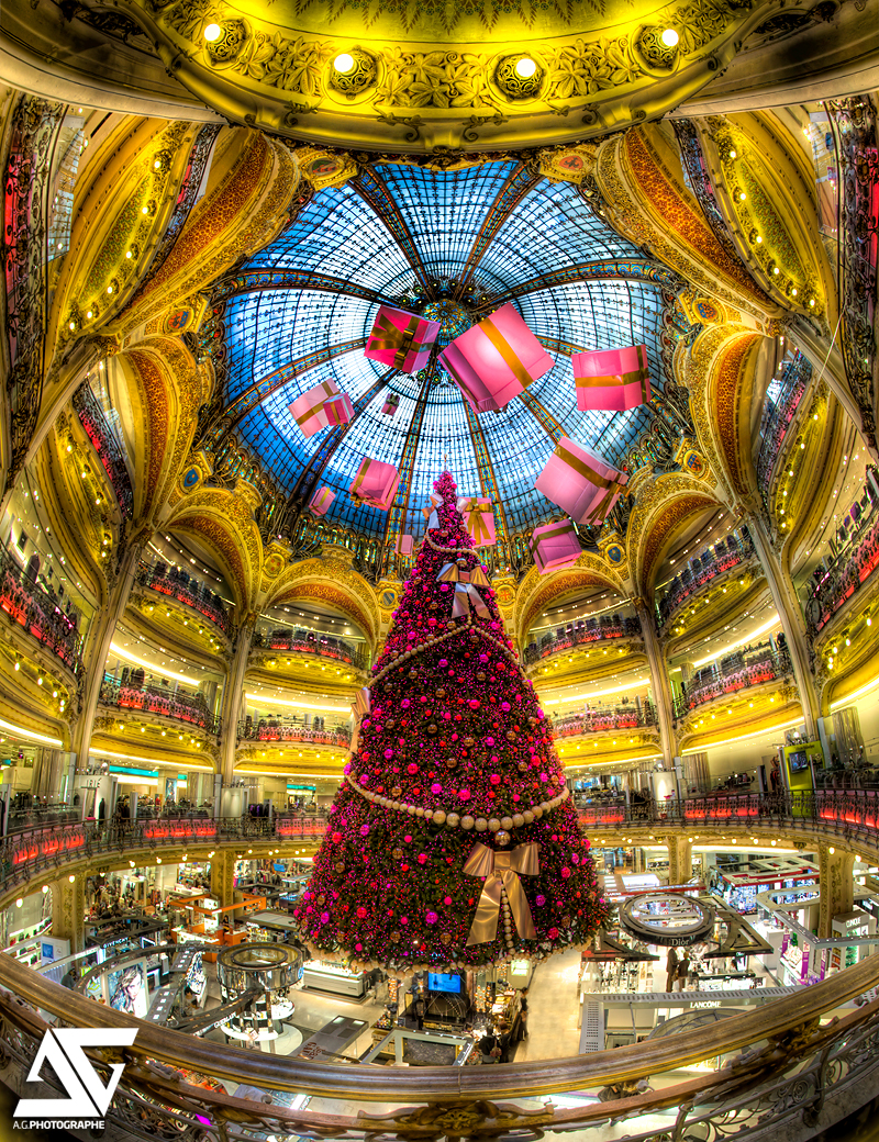 Happy Holidays from Paris, France: Fabulous Photography by Anthony Gelot