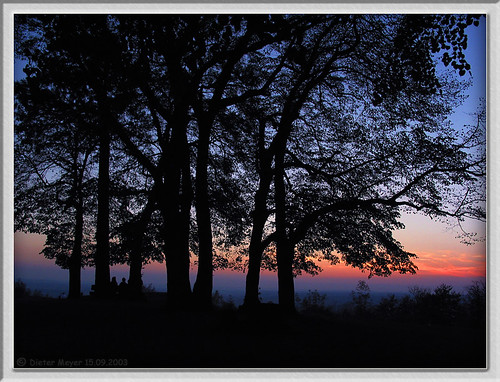 trees sunset sonnenuntergang bäume hohenstaufen dietermeyer