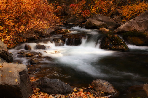 autumn trees motion fall water leaves river utah rocks stream foliage americanforkcanyon americanforkriver
