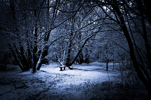 wood blue winter snow cold tree forest bench europe belgium belgique belgie magic hiver chartreuse panasonic bleu neige liege foret arbre froid banc bois lightroom lumic peville superaplus aplusphoto tz4 oblats dmctz4 grivegnee bestcapturesaoi