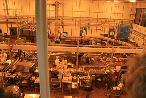 cheese factory tillamook productionline