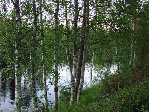 finland pudasjärvi pohjoispohjanmaa jyrkkäkoskicamping