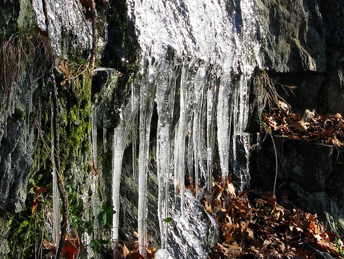frozen trail icicles ncrtrail