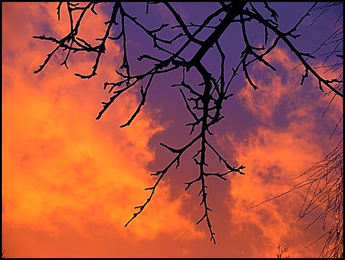 sunset ciel darkclouds coucherdesoleil orangeclouds