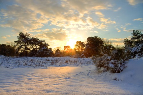 winter snow sunrise sneeuw hdr havelte zonsopkomst
