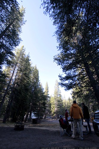 morning in tuolumne meadows campground