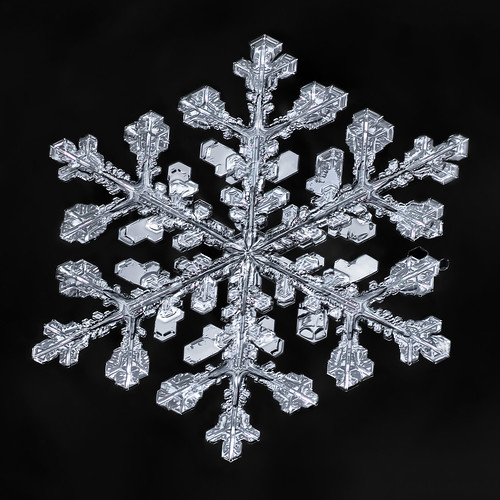 snowflake snow flake ice crystal nature fractal symmetry geometry frozen macro mpe focusstacking