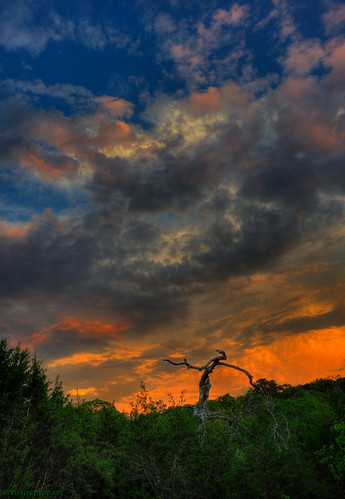 morning tree nature clouds sunrise austin oak poem texas vibrant tx hdr prose photomatix 3exp oscote oxherder