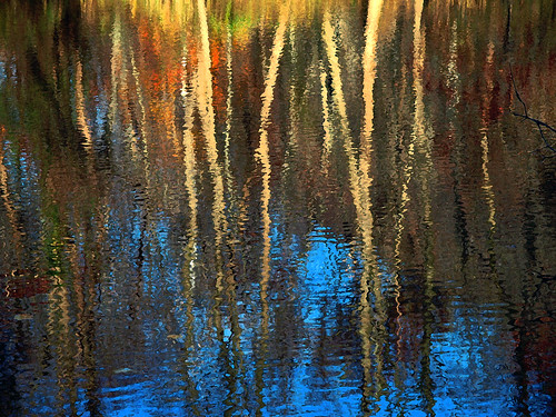 autumn trees color fall water reflections river pond foliage mosca millriver eastrockpark newhavenconnecticut drjazz olympuse510 professorbop