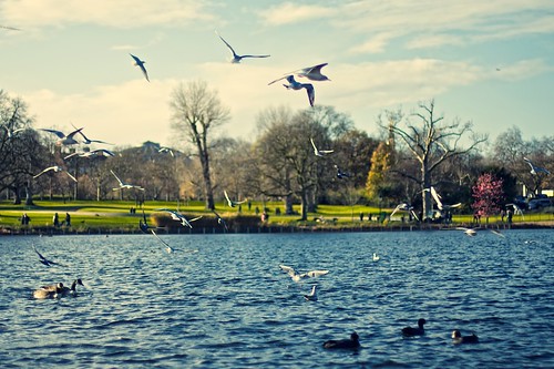 Kensington Gardens. London. England