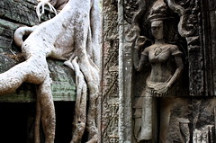Ta Phrom, Angkor, Cambodia