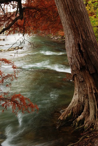 park tree fall water colors river texas state country hill guadalupe