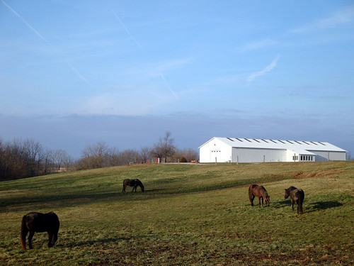 horse barn agriculture grazing graze