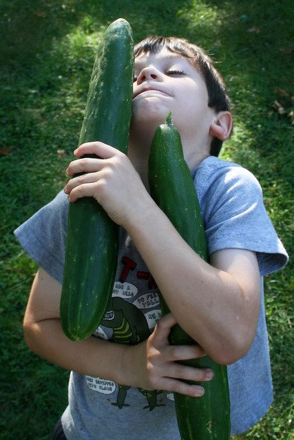 harvest: enormous cucumber from Flickr via Wylio