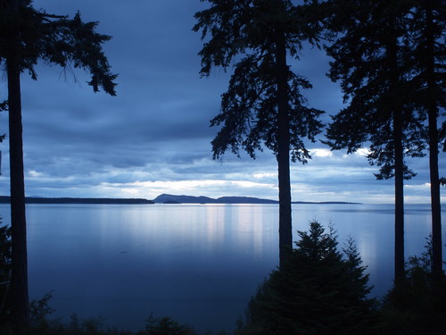 blue trees camp sky water silhouette night washington cloudy gimp orcasisland ymca ep1 orkila 17mm camporkila zd presidentchannel olympusep1