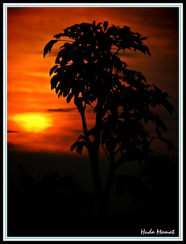 sunset sky sun tree silhouette golden nikon malaysia framing portuguesesettlement portugis langit matahari pokok perkampungan matahariterbenam ujongpasir mlacca hudamamat