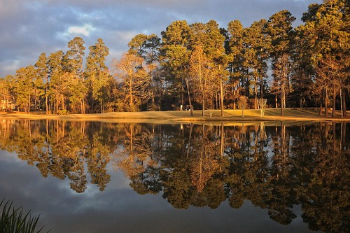 sunrise golf thewoodlands