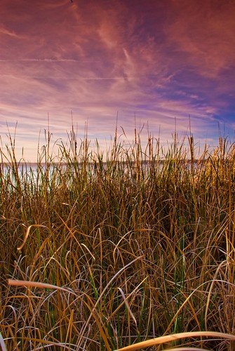 beach water clouds reeds geotagged australia rushes stgeorgesbasin geo:lat=35143775 geo:lon=150640368