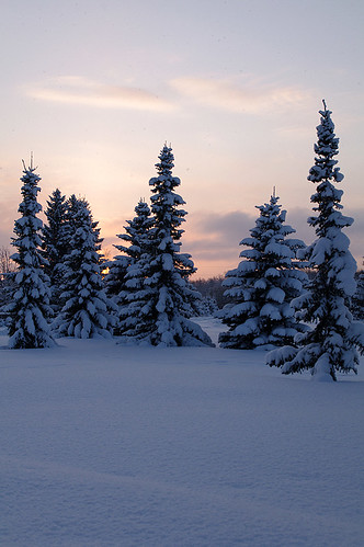 winter sunset snow estonia pentax lumi eesti talv k7 loojang vanagram updatecollection jürialevik
