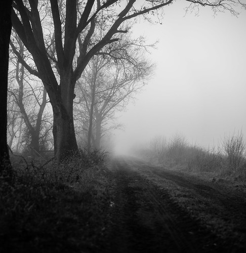 nature fog landscape d700 nikonfxshowcase nikonnikkor50mm18g