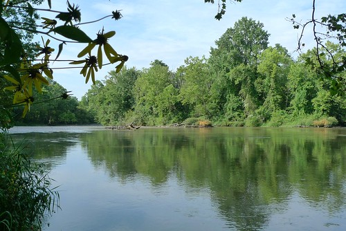 river picnik wautauga