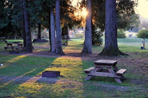 camp tree grass sunrise table nikon picnic d90 eyefi