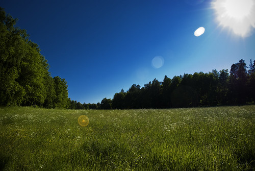 summer nature field june juni geotagged countryside nikon sweden stockholm peaceful lensflare 2009 tranquil sommar järfälla äng swedishsummer kallhäll d80 summermeadow nikond80 sommaräng slammertorp dikartorp geo:lat=59450463 geo:lon=17802615