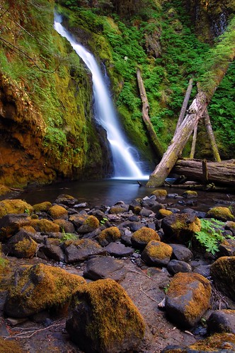 forest waterfall moss cascades grotto fairies ferns hemlockfalls hemlockcreek littleriverwatershed