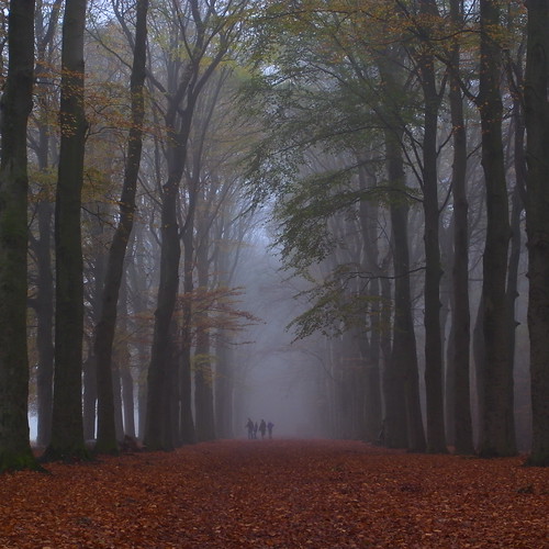 family nature misty fog walking landscape wandelen walk groningen ricoh terapel westerwolde gx200 flickrestrellas sikkeloantje