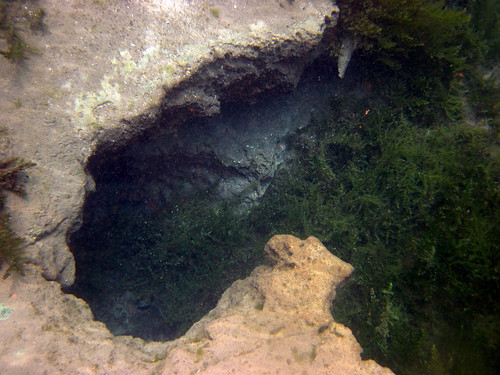 water underwater florida jackson springs marianna aquifer merrittsmillpond twincavesspring