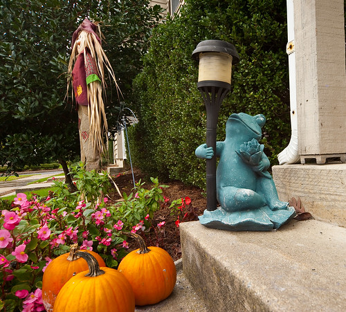 autumn fall statue pumpkin geotagged nikon raw nef humor scarecrow frog frontporch cs4 sigma1224 rockymountnc d700