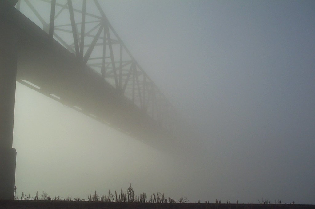 Fotografías de invierno - Niebla