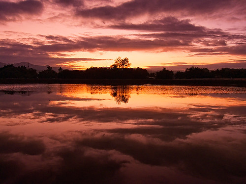 nature sunrise reflections river landscape lumix dawn panasonic malaysia kotakinabalu sabah sungai firstlight riceworld likas subuh topseven anawesomeshot absolutelystunningscapes fz28 ishafizan sunporn