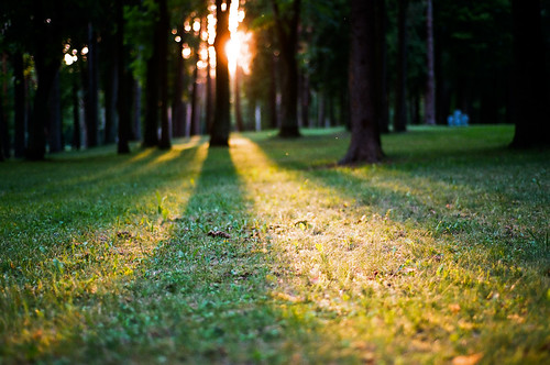 sunset shadow lithuania vilnius nikonf80 filmphotography fujifilmsuperia nikkoraf50mmf18d vingiopark