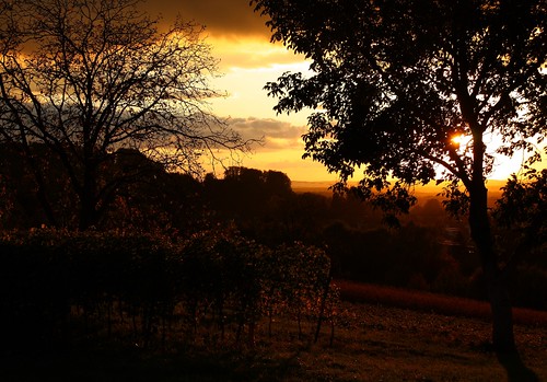 autumn sunset golden evening abend herbst schliengen markgräflerland
