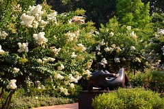 Henry Moore at the Atlanta Botanical Garden