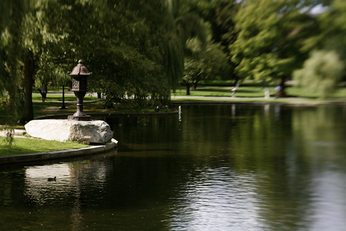 park lake boston lensbaby view common