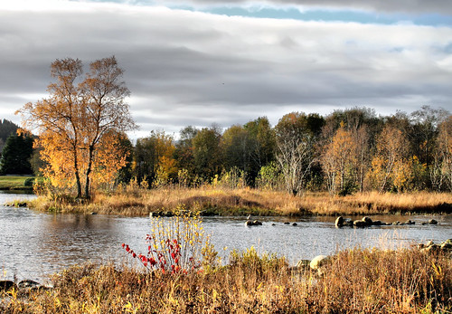 autumn trees lake fall river spjelkavik larigan phamilton lillevatn
