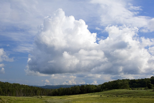 trees sky cloud mountains field clouds landscape vermont farm east pasture montpelier morse