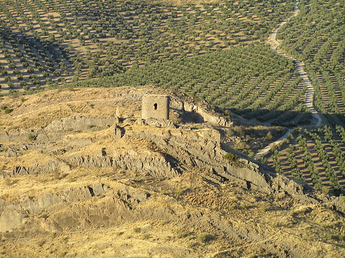 Castillo Víboras