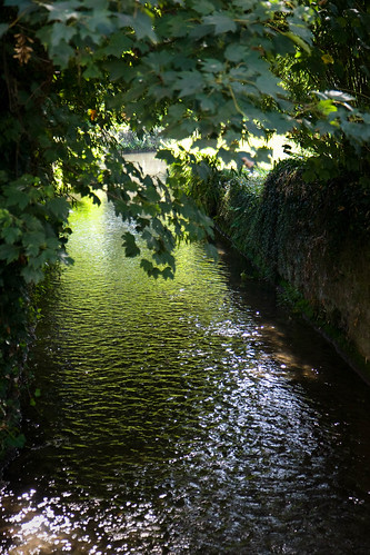 france nature eau europe rivière reflet paysage bourgogne ruisseau nièvre donzy